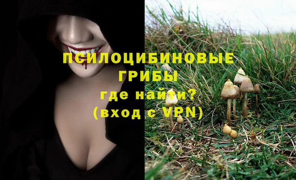 мет Балахна
