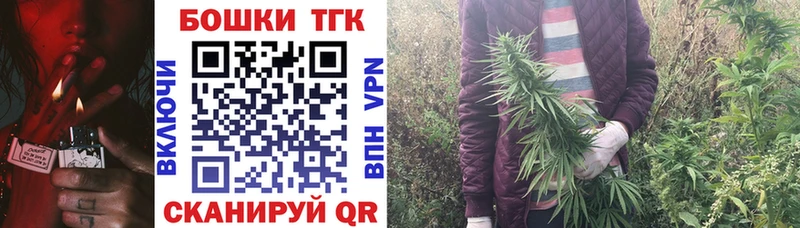 купить наркотик  Жиздра  ОМГ ОМГ ТОР  Канабис сатива 
